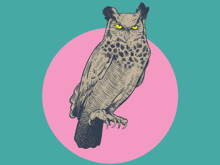 Owl Play Screenprint